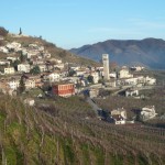 Full immersion in vineyards meticoulously cared for by the producers.